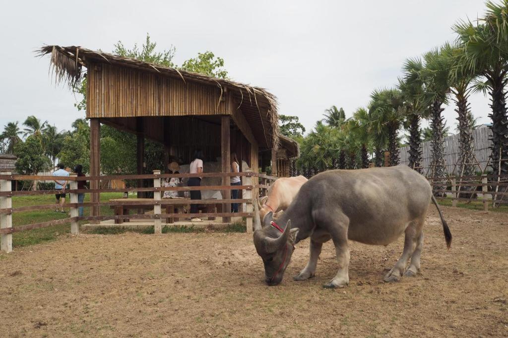 The Buffalo Amphawa Samut Songkhram Екстер'єр фото