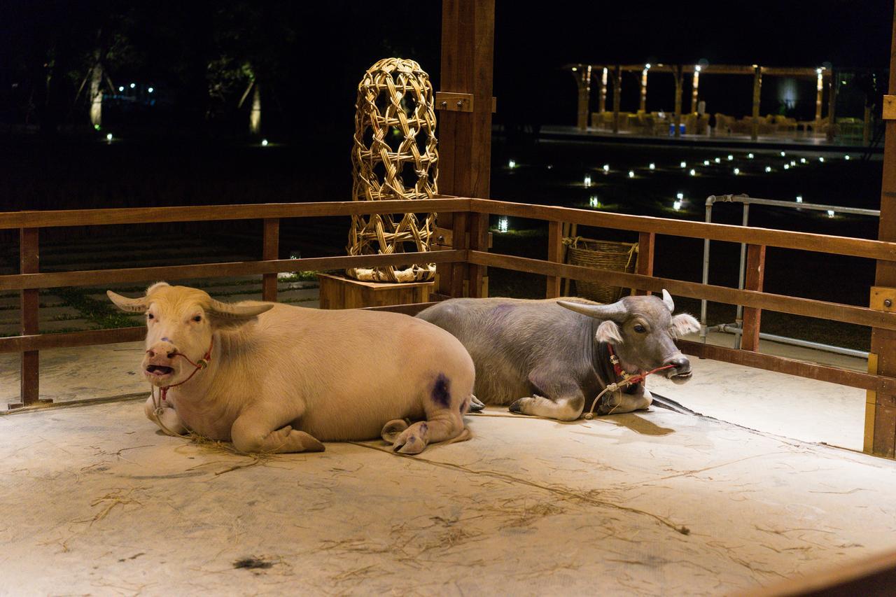 The Buffalo Amphawa Samut Songkhram Екстер'єр фото